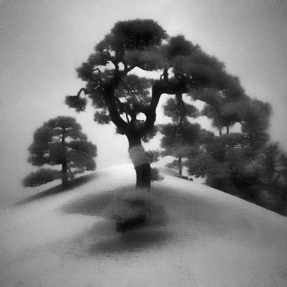 TOSHIYA WATANABE PHOTOGRAPHY -