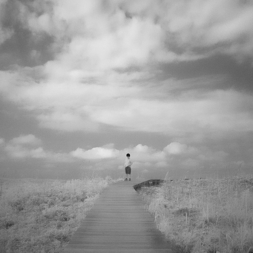 TOSHIYA WATANABE PHOTOGRAPHY -