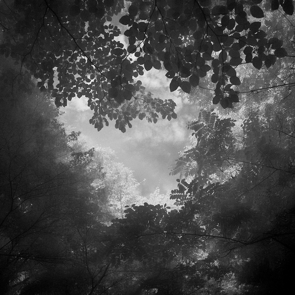 TOSHIYA WATANABE PHOTOGRAPHY -