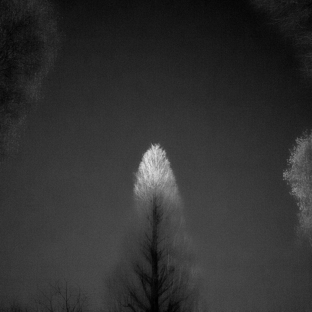TOSHIYA WATANABE PHOTOGRAPHY -
