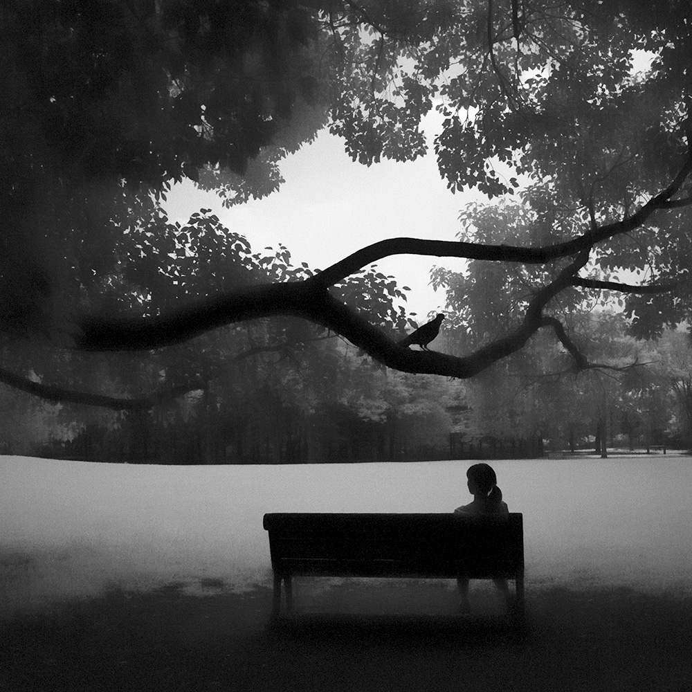 TOSHIYA WATANABE PHOTOGRAPHY -