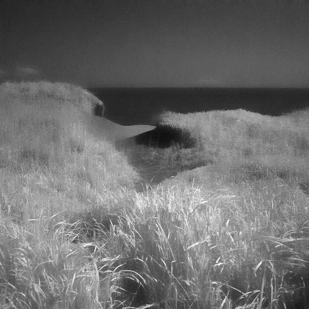 TOSHIYA WATANABE PHOTOGRAPHY -