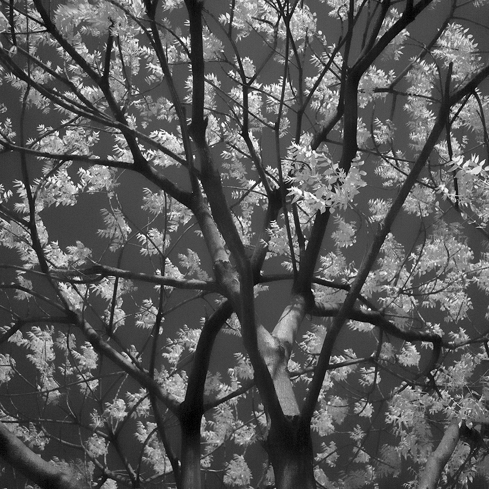 TOSHIYA WATANABE PHOTOGRAPHY -