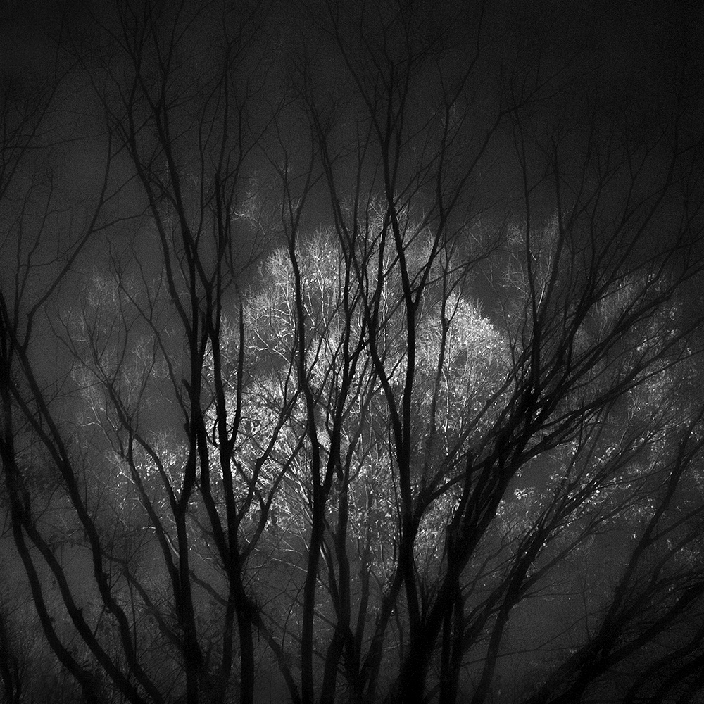 TOSHIYA WATANABE PHOTOGRAPHY -
