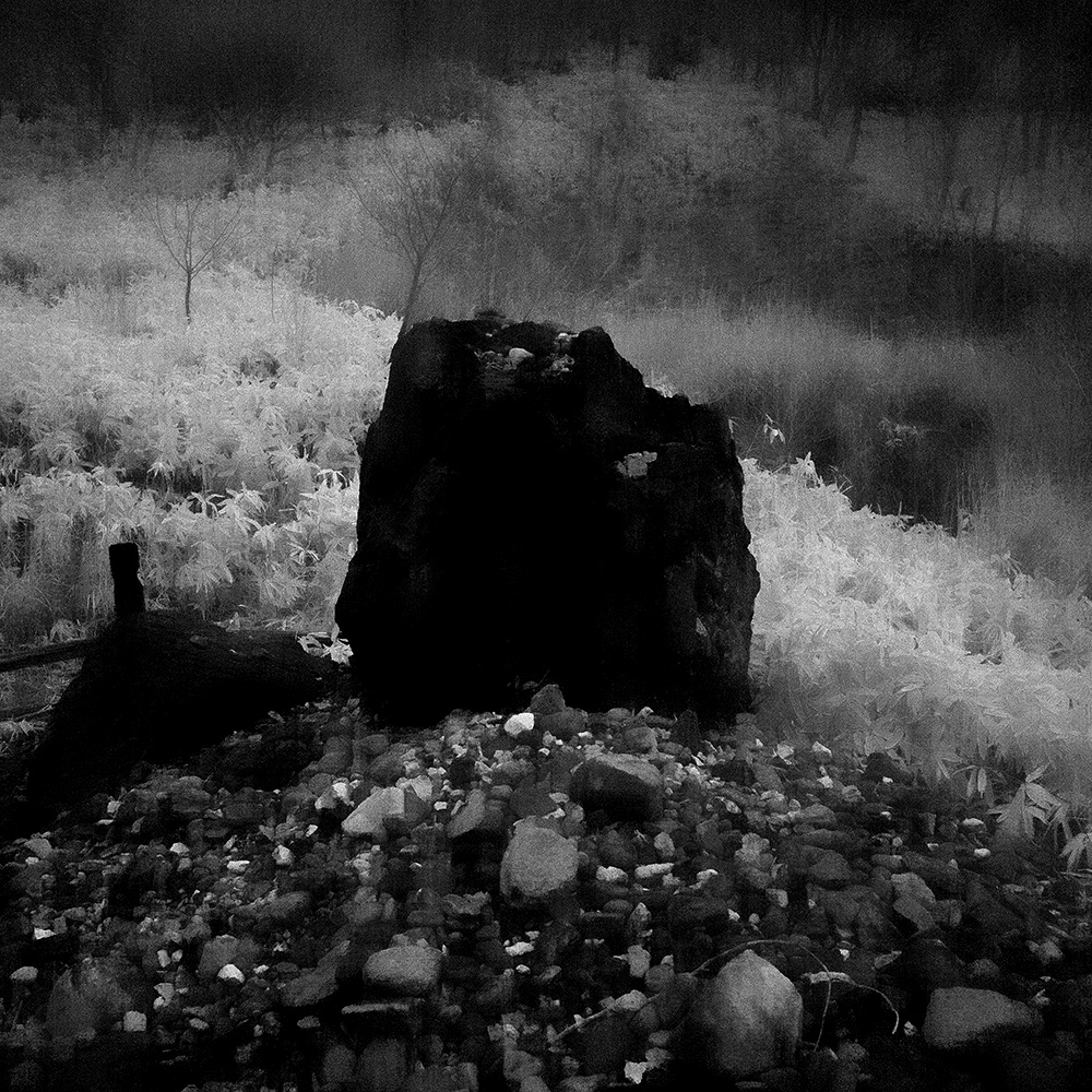 TOSHIYA WATANABE PHOTOGRAPHY -
