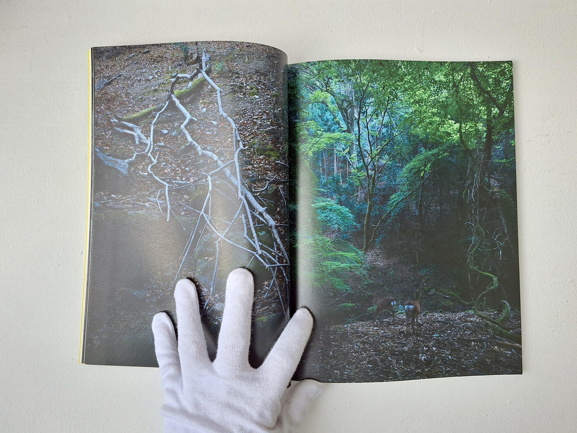 The Room＃4【ZINE】