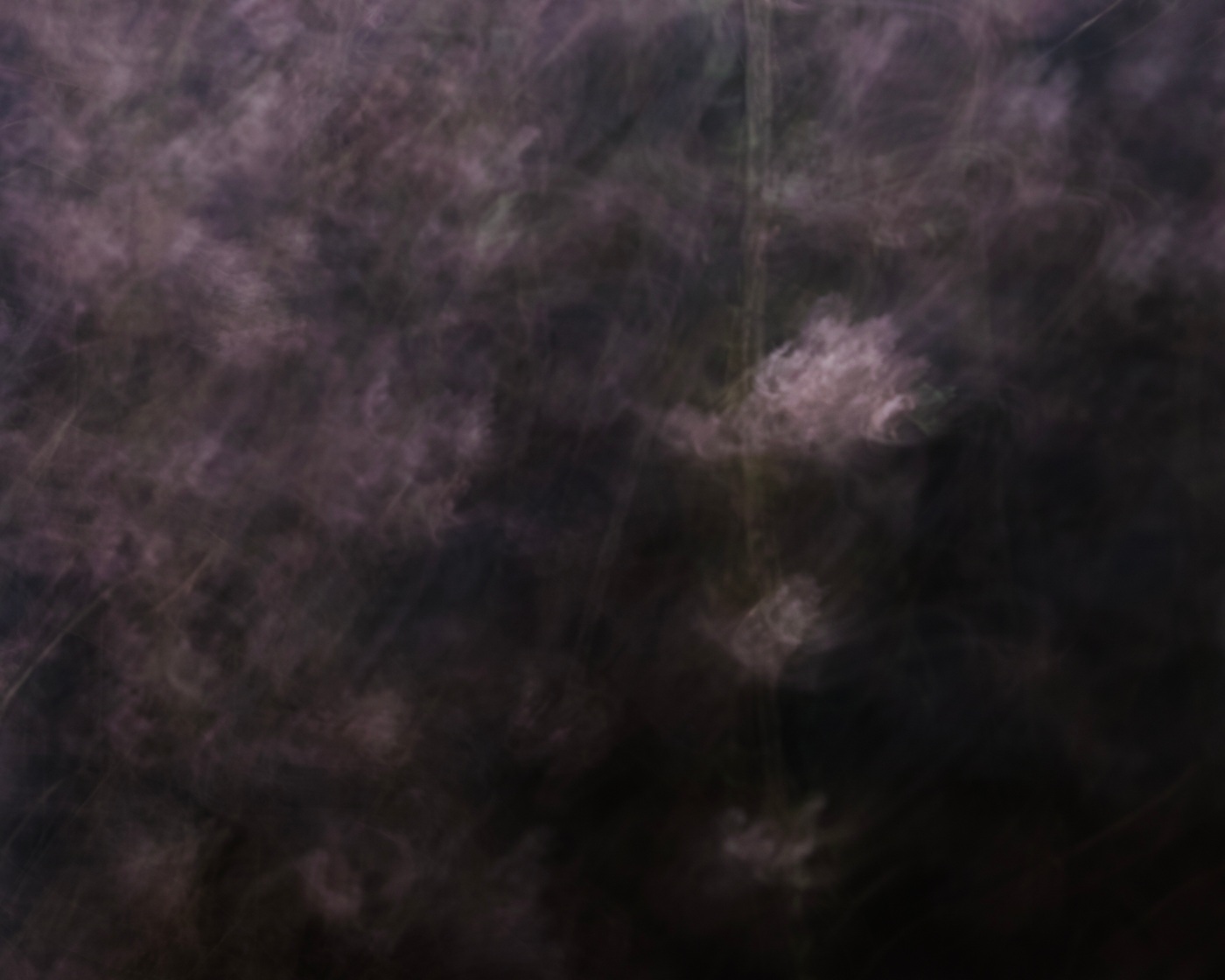 blossom in the night gallery - Comtemporary Art, Jiro Hiraike