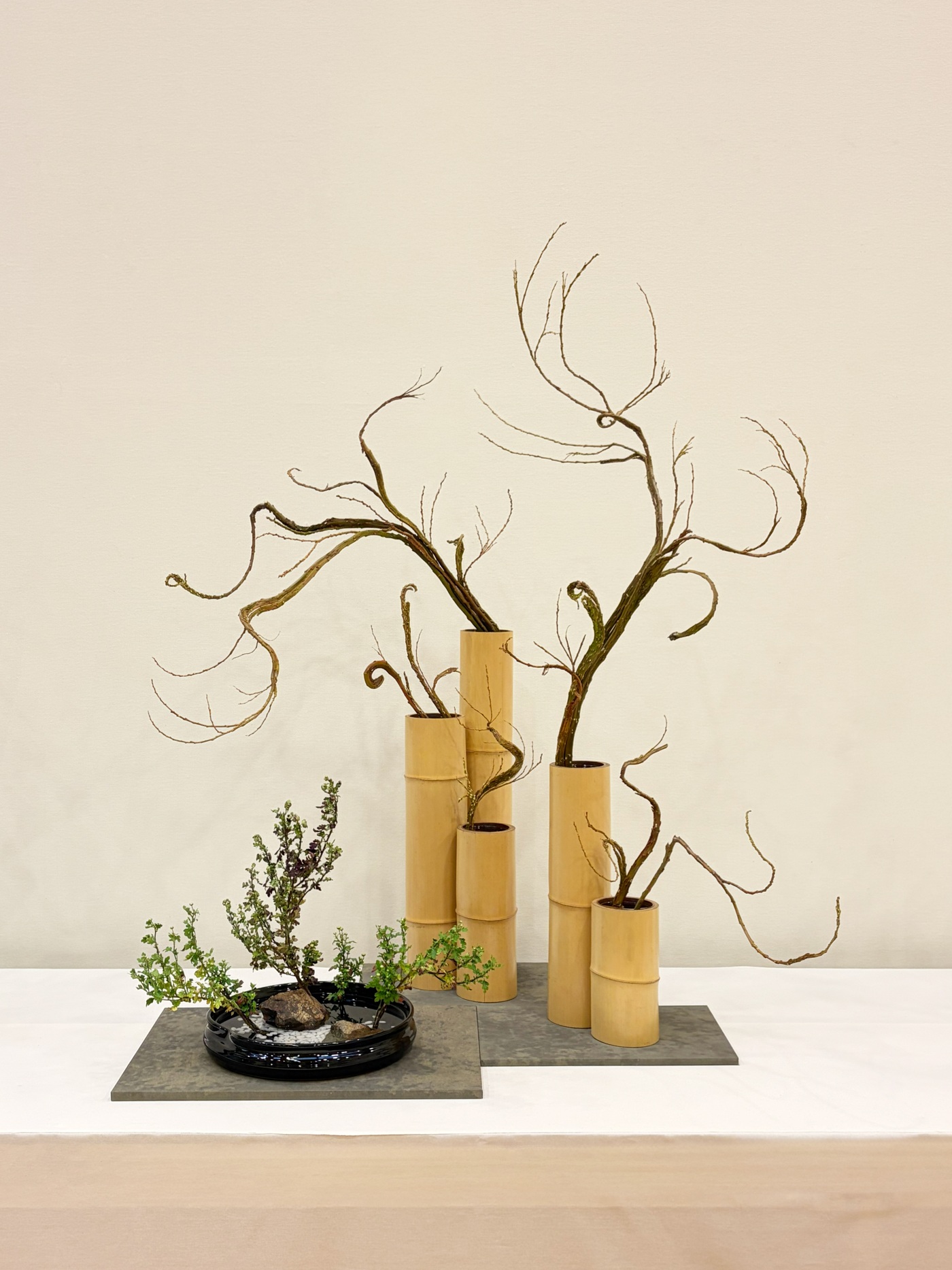 Blog - 建築家 × 華道家 | 植村卓也 Architect × Ikebana Artist